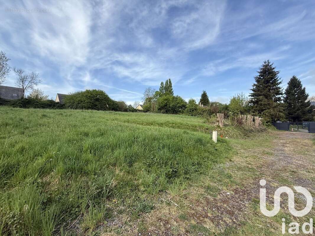 Photo 3 - Terrain à SAINT-GEORGES-DU-VIEVRE