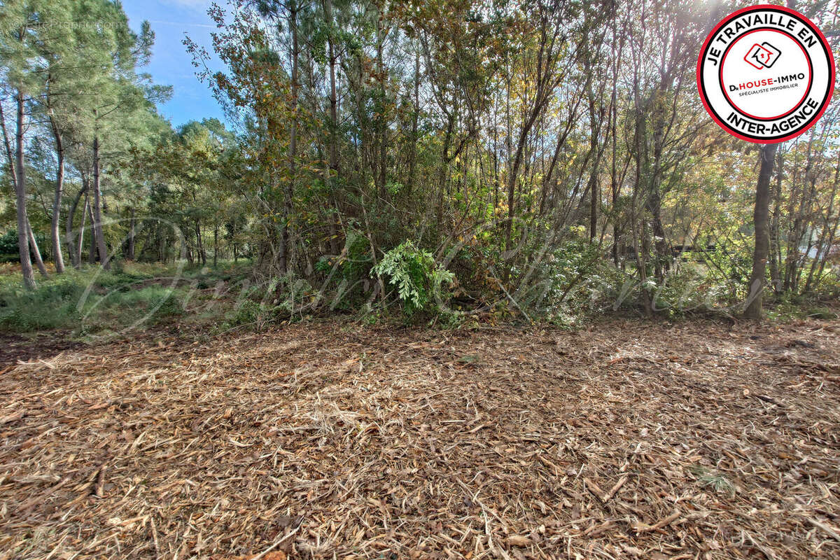 Terrain à SAINT-SAUVEUR