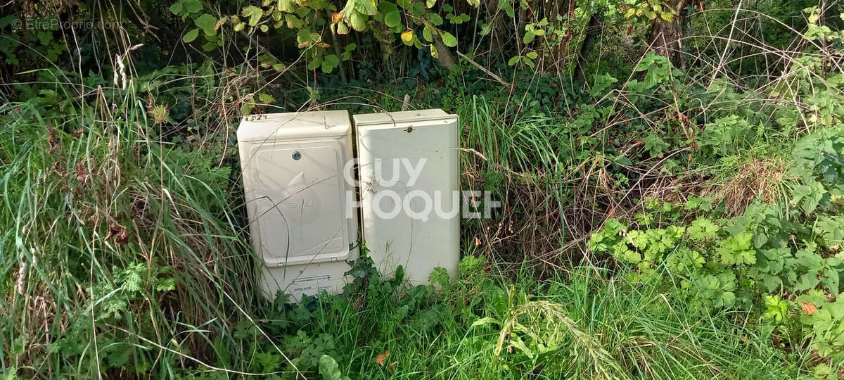 Terrain à BRUCHEVILLE