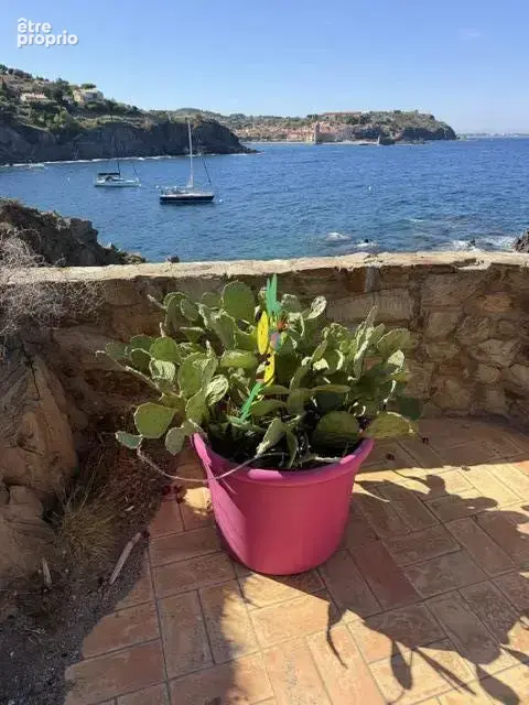 Photo Appartement à Collioure au prix de 560 000€