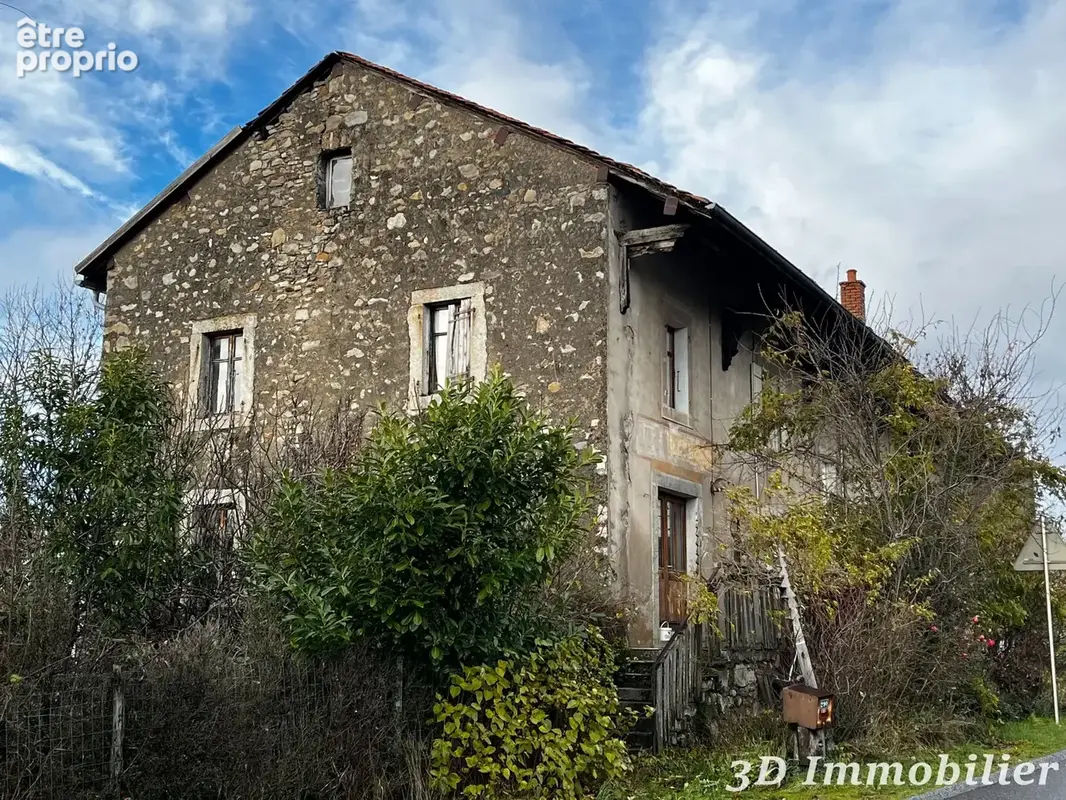 Maison 10 pièces 450 m² à vendre à Douvaine (74140) - photo 2
