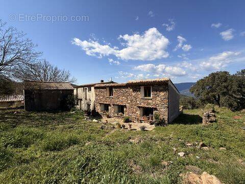 Maison à LE LAVANDOU