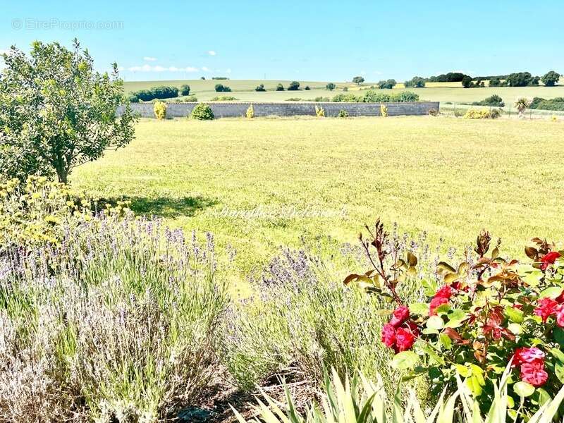 Maison à SAINT-DENIS-DU-PIN