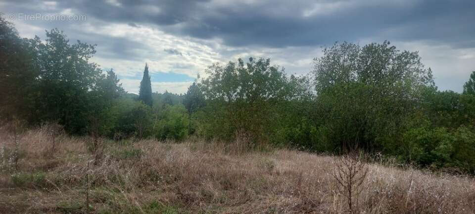 Terrain à BRUE-AURIAC