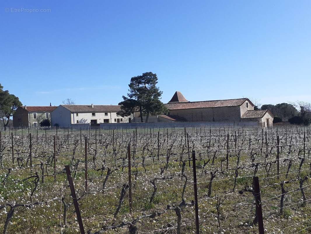 Maison à PUISSERGUIER