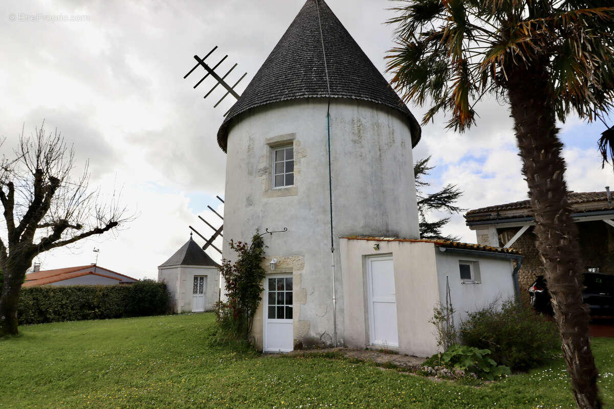 Charentaise + Moulin - photo 20