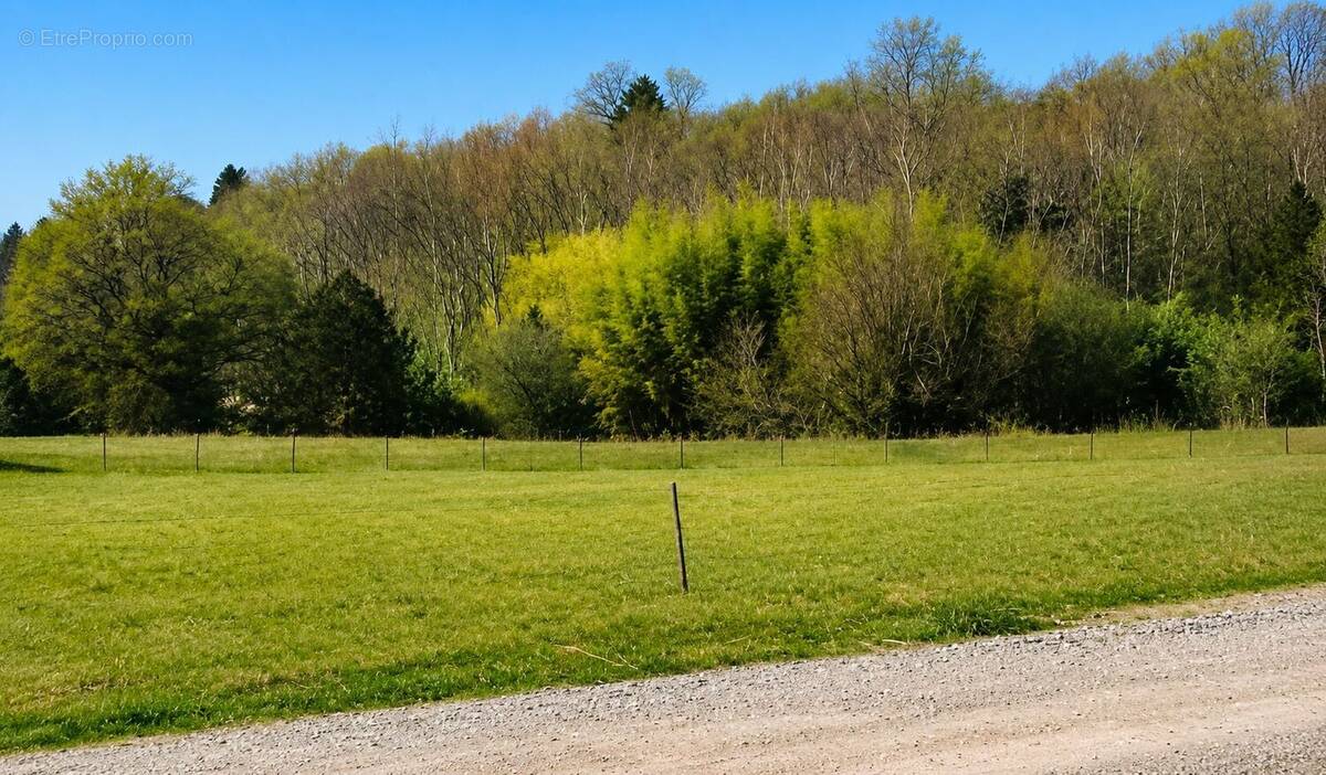 Terrain à COUZEIX
