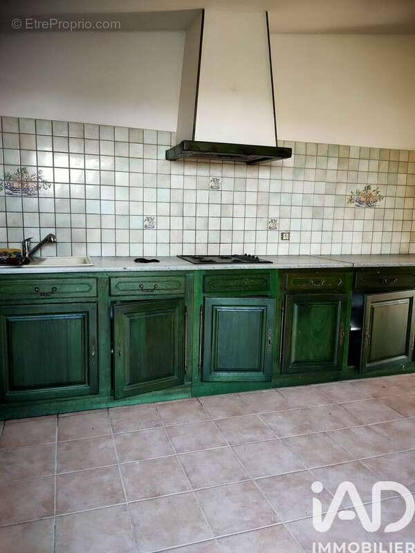 Maison 163 m² à Le Seure  - photo 7