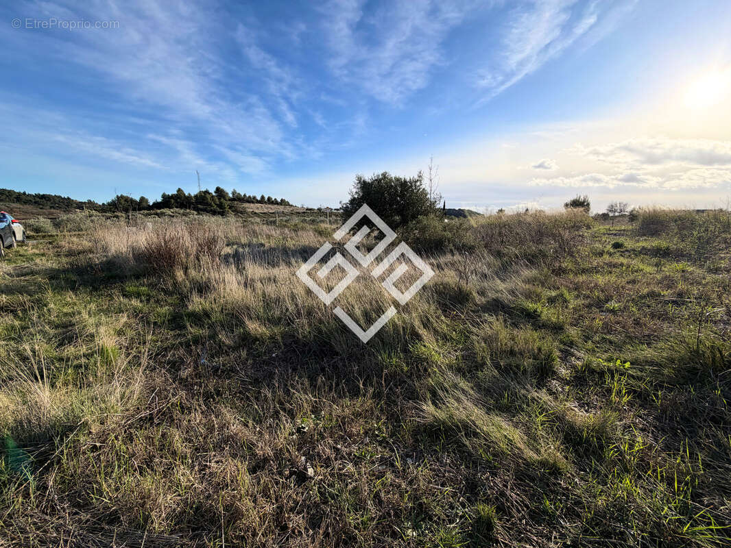 Terrain à BIZE-MINERVOIS