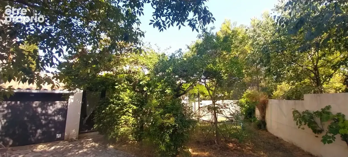 Photo Maison à Castries au prix de 450 000€