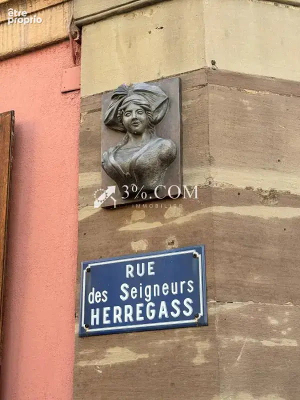 3%COM Belle bâtisse au coeur de Bouxwiller - photo 16