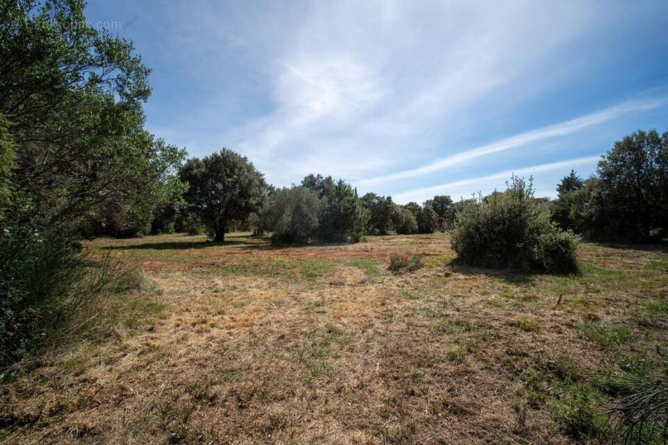 Terrain à SAINT-SIFFRET