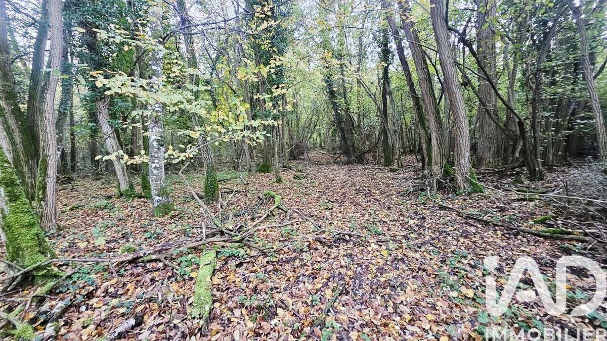 Photo 3 - Terrain à SAINT-HILAIRE-SAINT-MESMIN