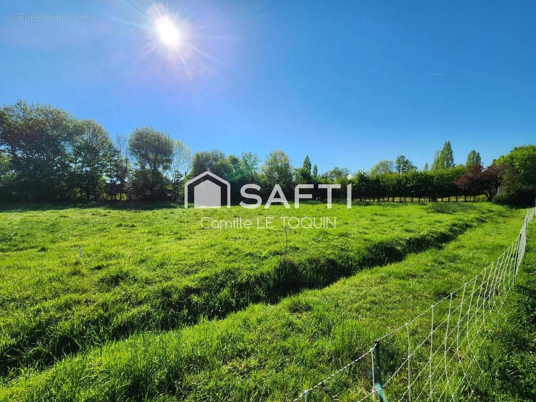 Photo 1 - Terrain à MOZE-SUR-LOUET