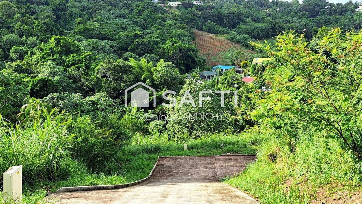 Photo 2 - Terrain à LE FRANCOIS