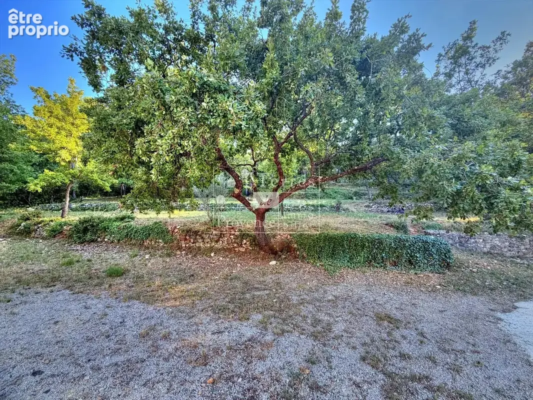 LORGUES – Maison de maçon sur 7500 m² de terrain avec grande piscine - photo 17