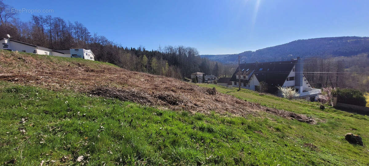 Terrain à MOYENMOUTIER