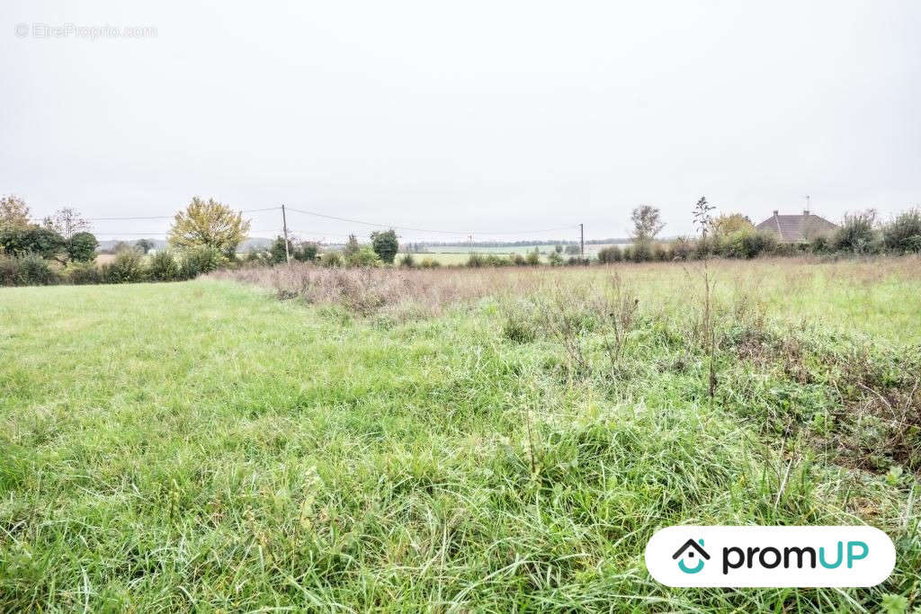 Terrain à GUERIGNY