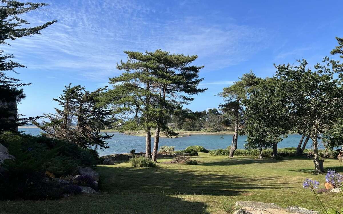 Propriété d'exception pieds dans l'eau - photo 2