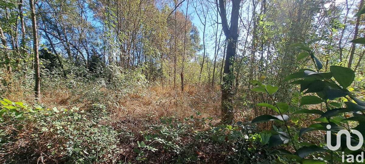 Photo 5 - Terrain à SAINT-CHRISTOL-LES-ALES
