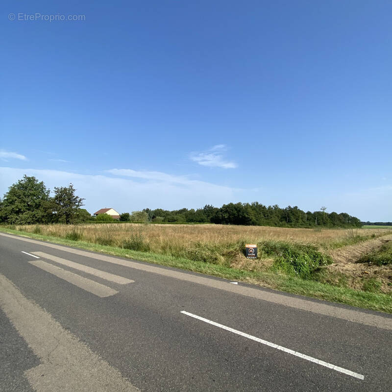 Terrain à TRACY-SUR-LOIRE