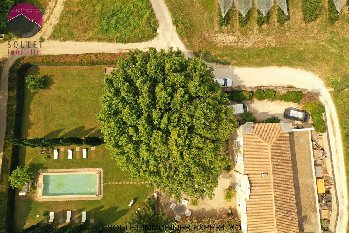 Propriete 390 m2 - photo 3