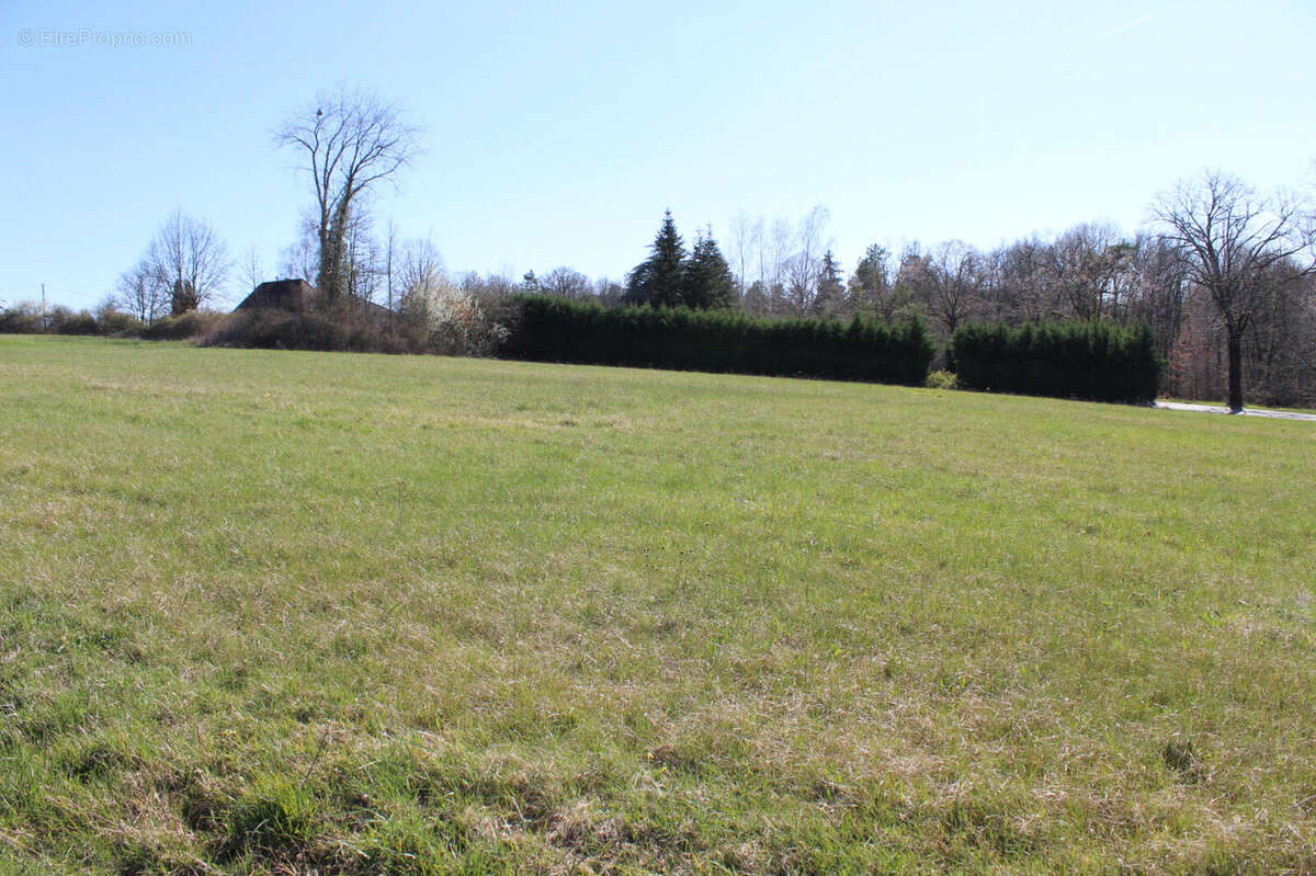 Terrain à bâtir - photo 2