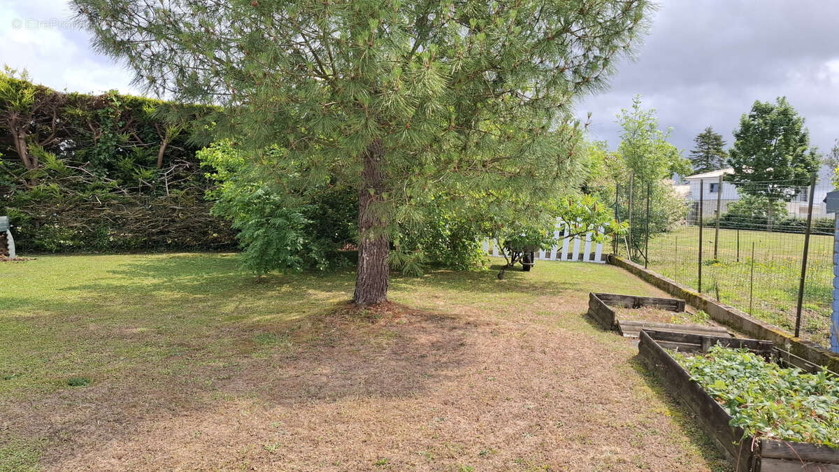 Maison à SAINTE-PAZANNE