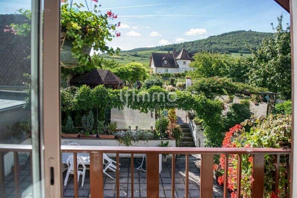 Appartement à AMMERSCHWIHR