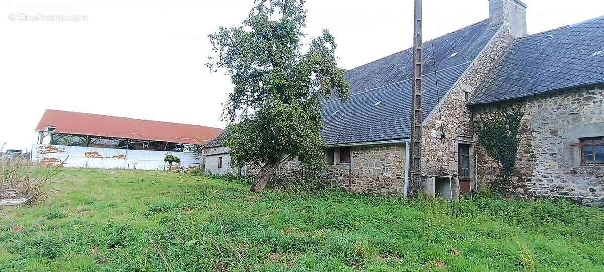 Maison en pierre 3 chambres hangar - photo 16