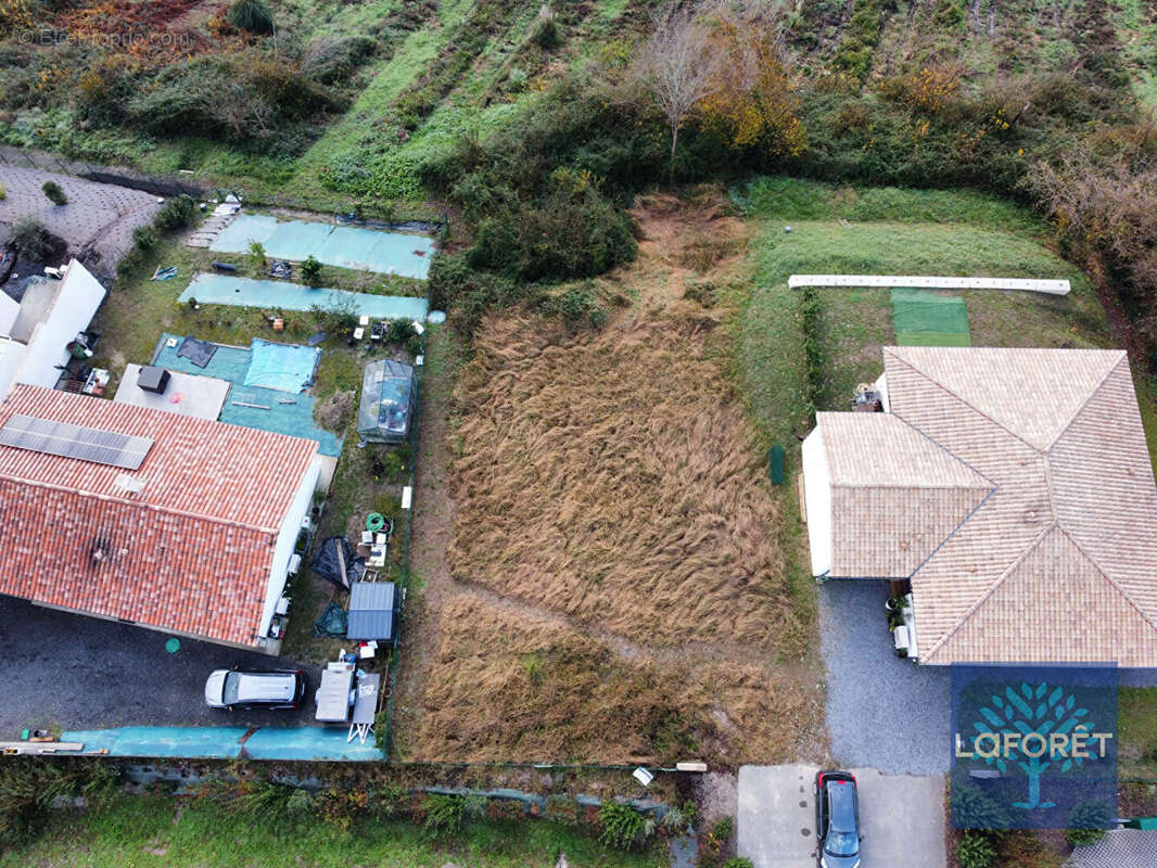 Terrain à DAX