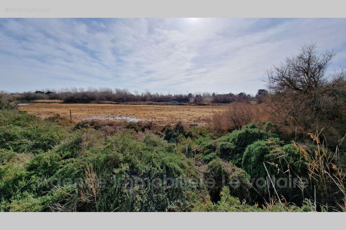 Terrain à SERIGNAN