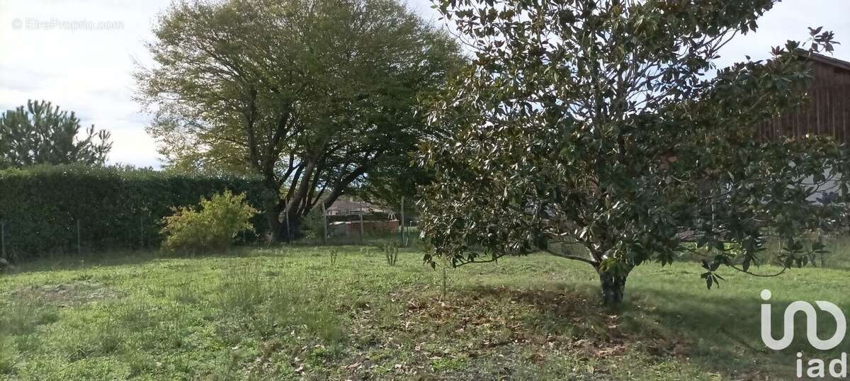 Photo 2 - Terrain à HOSTENS