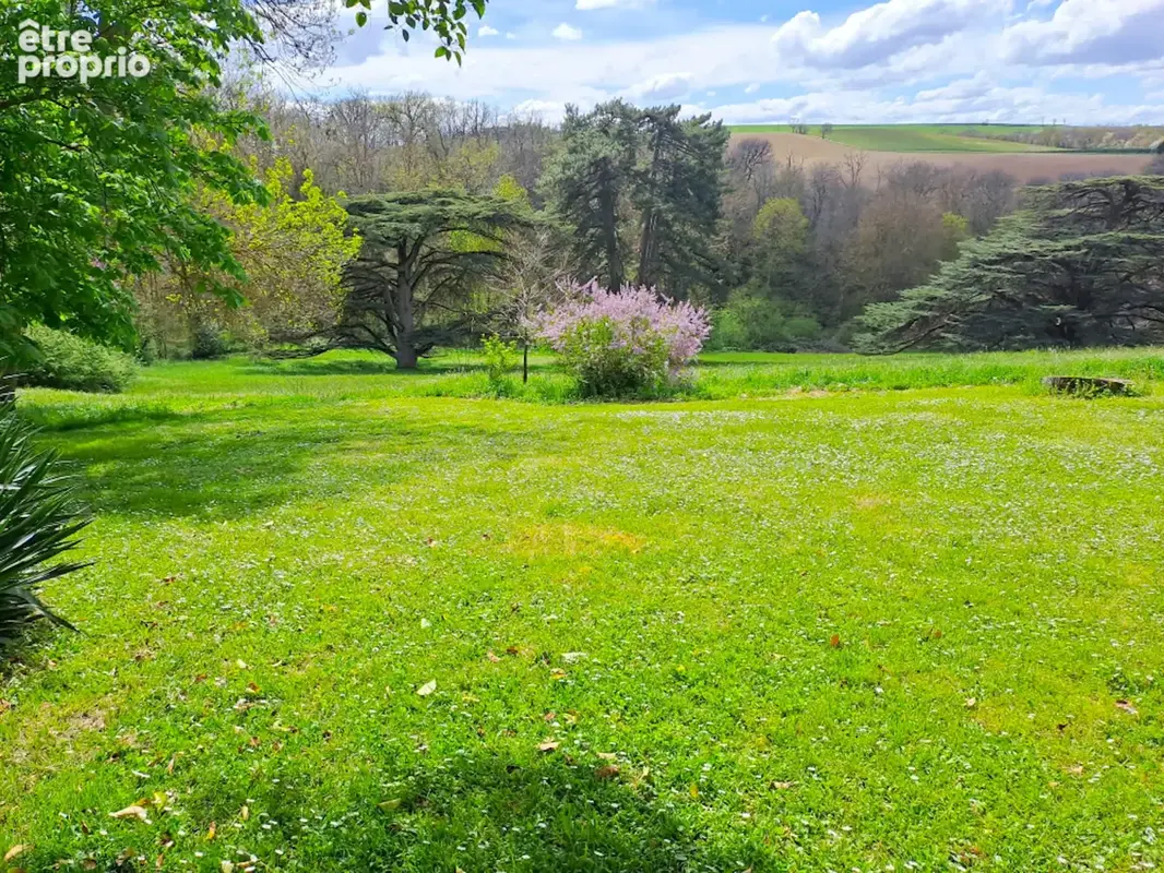 CHATEAU de famille du 17e siècle en très bon état à vendre à GIBEL - photo 34