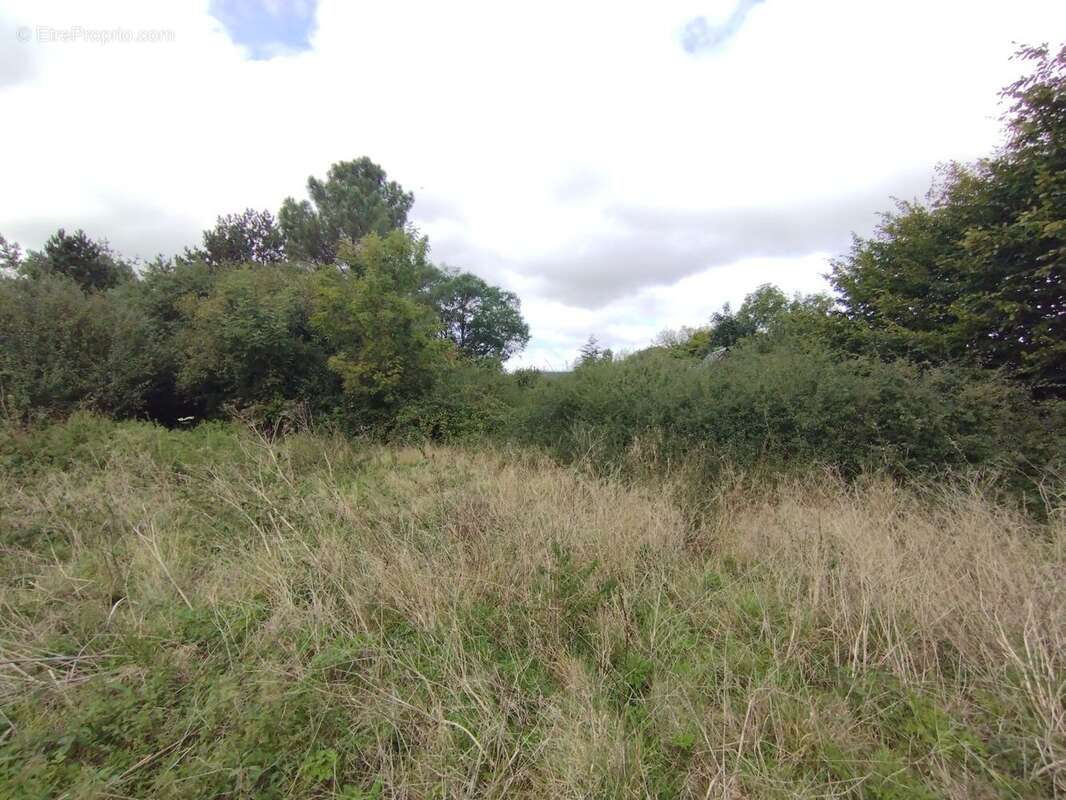 Terrain à CONCHES-EN-OUCHE