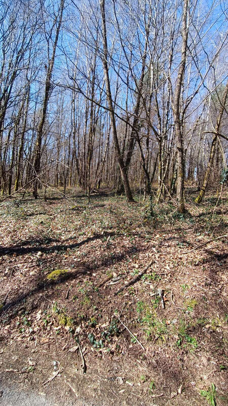Terrain à SARLIAC-SUR-L&#039;ISLE