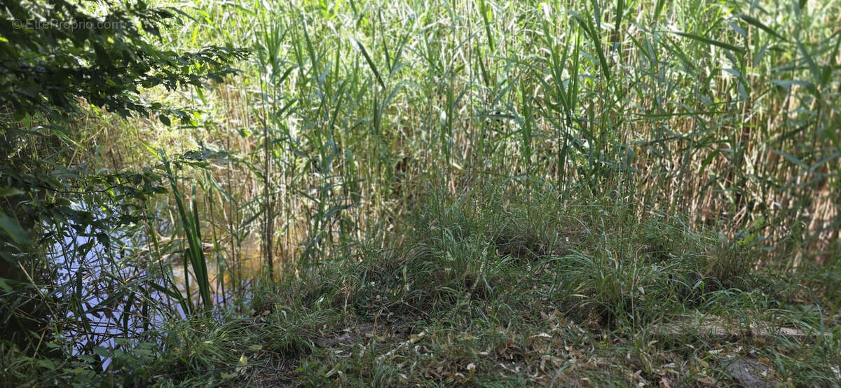 Terrain à VILLEBEON