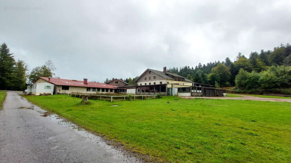 20250911_115742 - Maison à GIRMONT-VAL-D&#039;AJOL