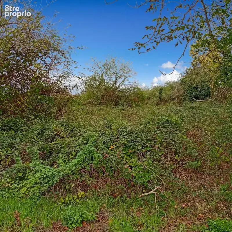 Terrain À Vendre - photo 2