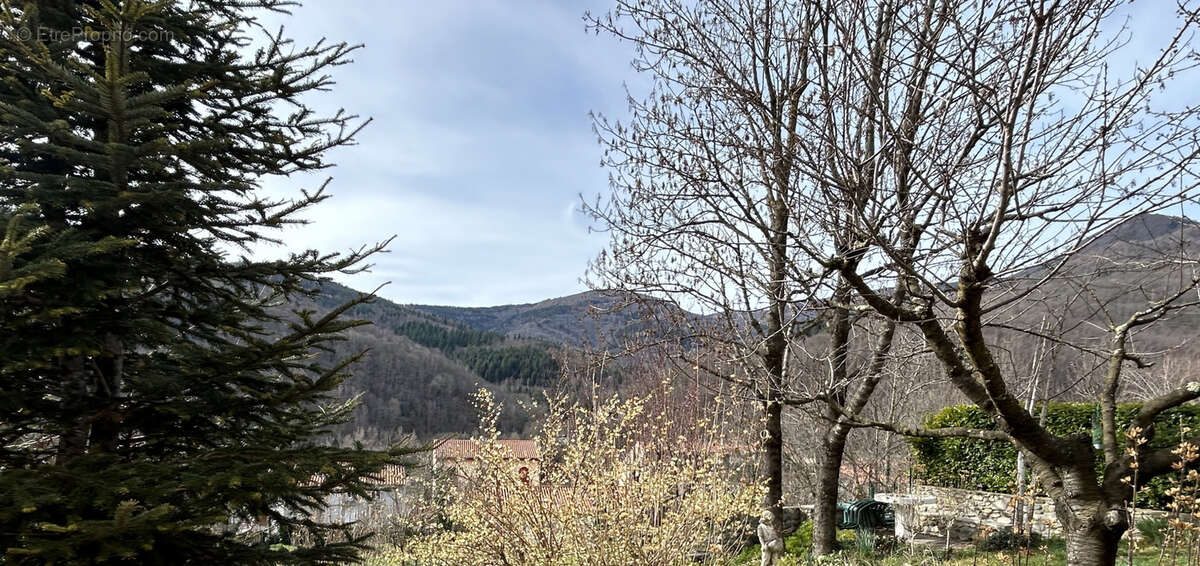 Maison à PRATS-DE-MOLLO-LA-PRESTE
