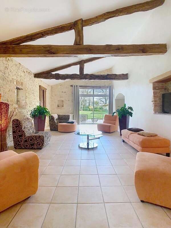 Photo 9 - Maison à ORDAN-LARROQUE