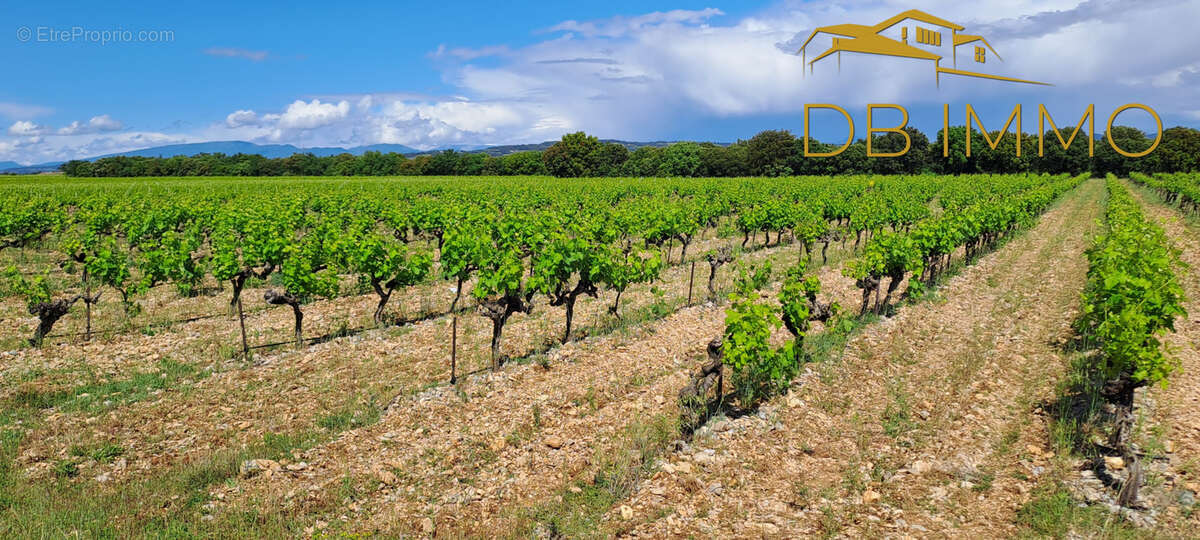 Terrain à SAINTE-CECILE-LES-VIGNES