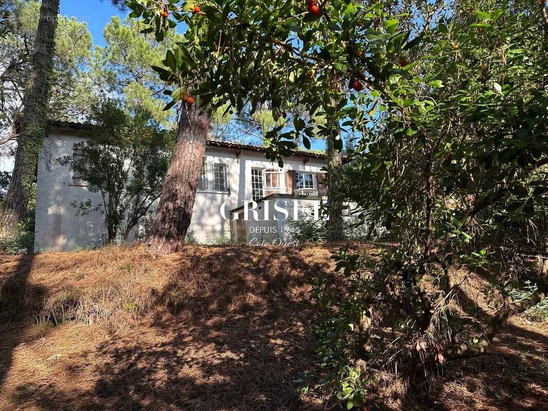 Maison à LEGE-CAP-FERRET