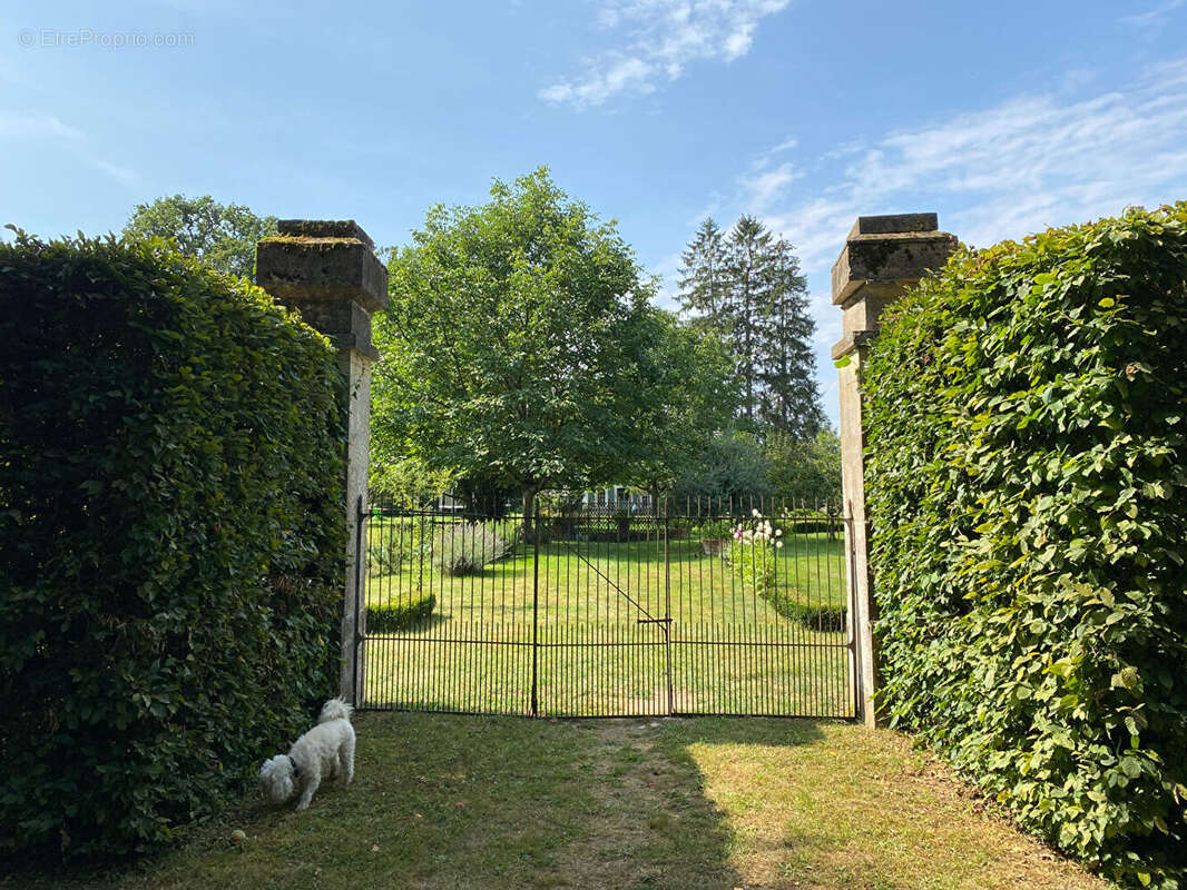 Château de Villars - photo 11