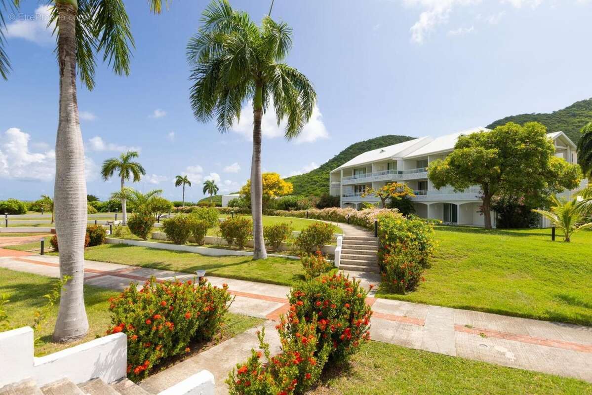 Photo 4 - Appartement à SAINT-MARTIN