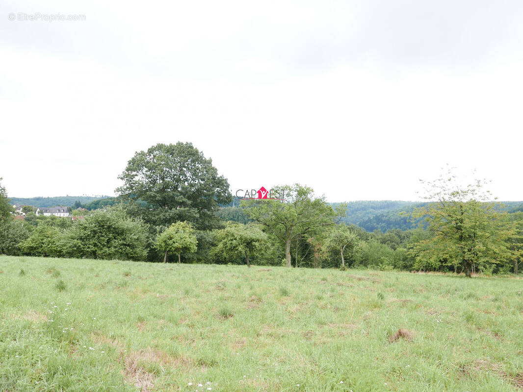Terrain à LA PETITE-PIERRE