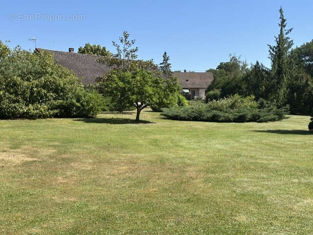 EXCLUSIVITE à AUXY, longère de plain pied avec hangar, étang et parc arboré. - photo 3