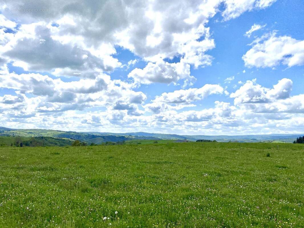 Terrain à SAINT-MARTIAL