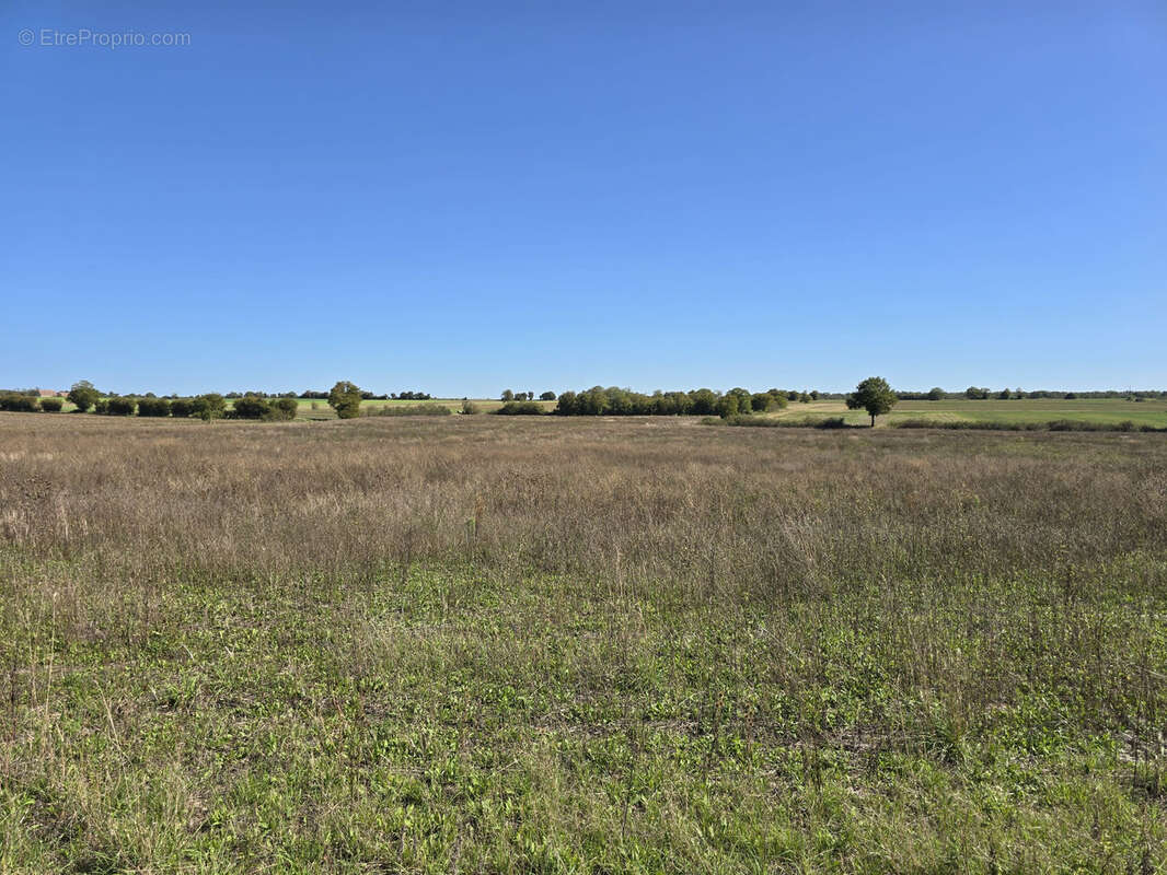 Terrain à NEUILLY-EN-DUN