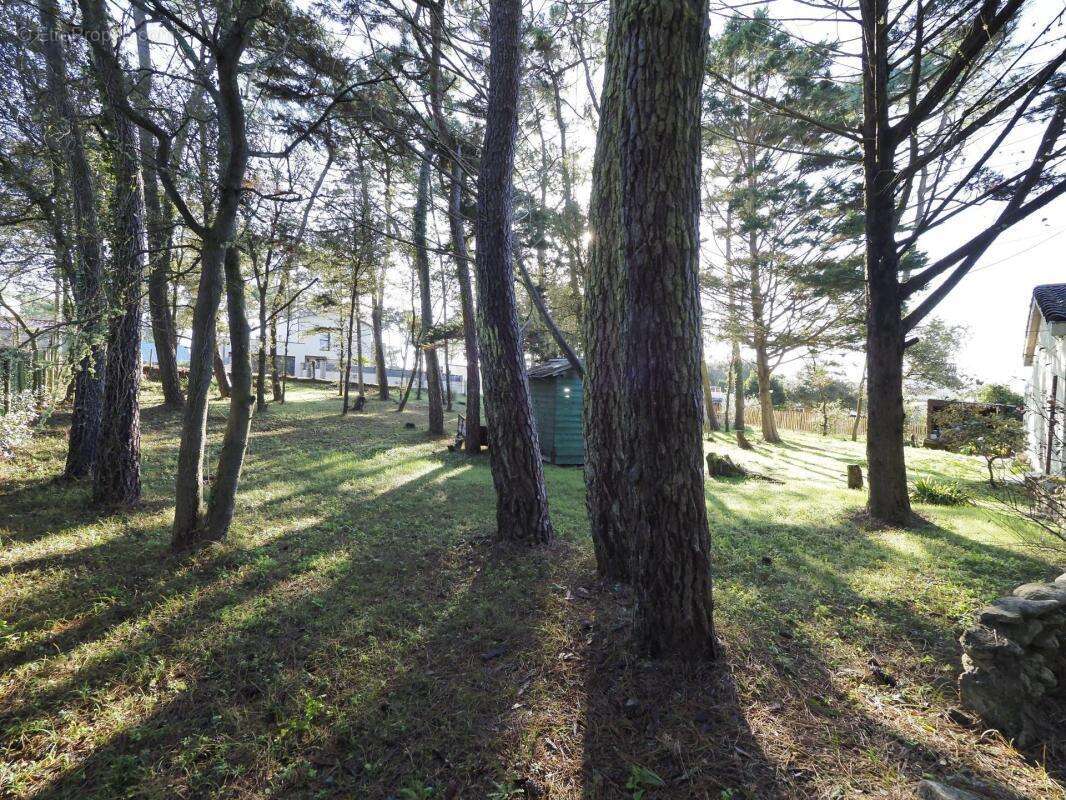Terrain à JARD-SUR-MER